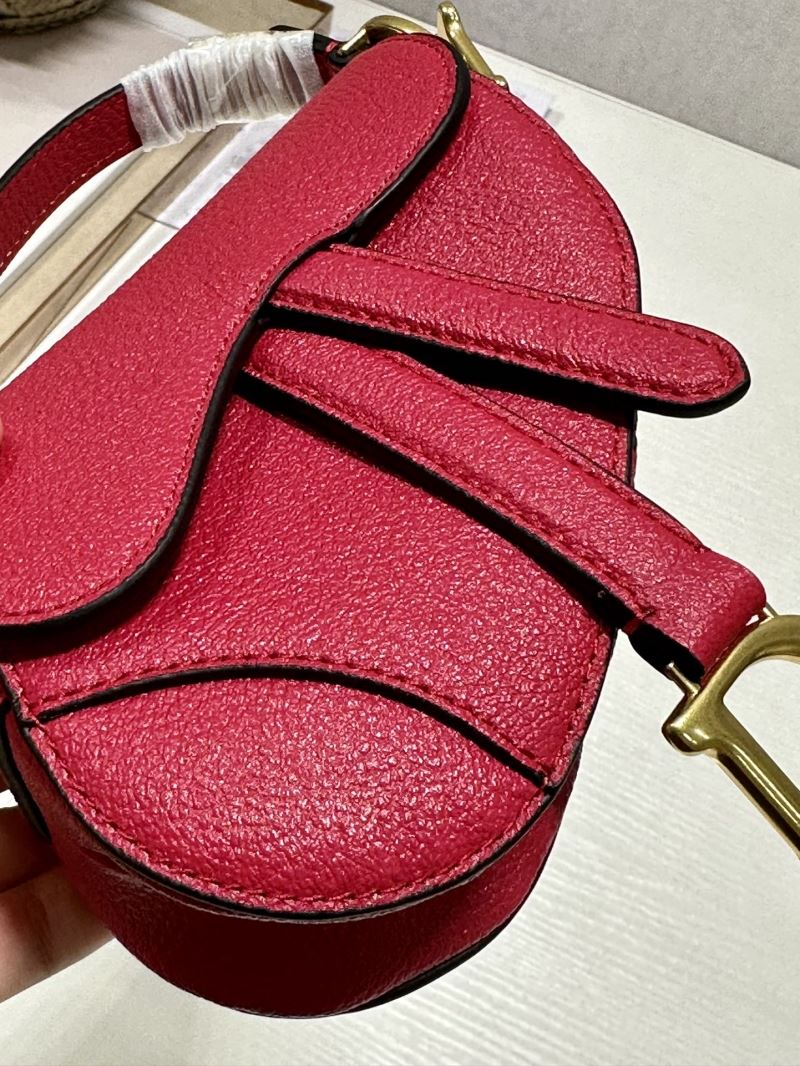 Christian Dior Saddle Bags